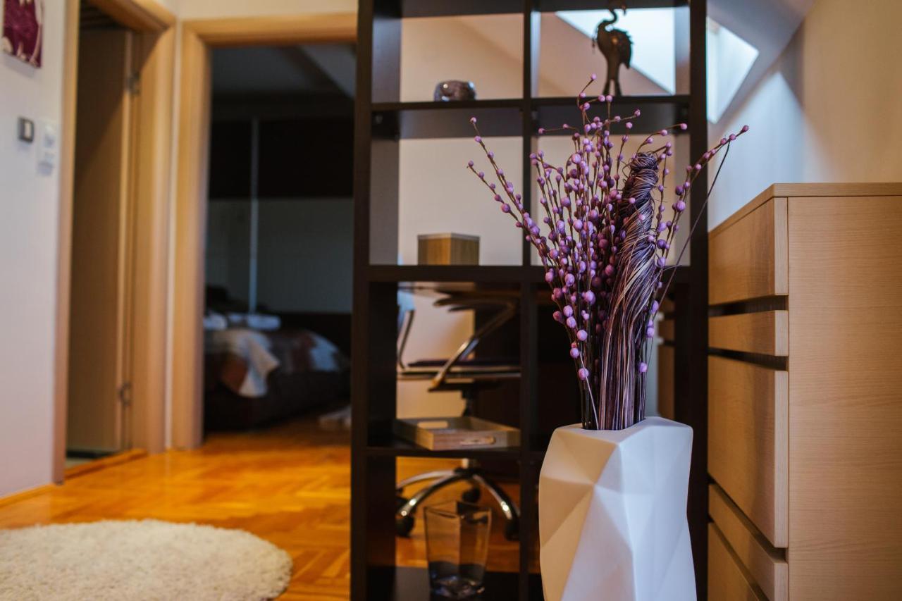노비사드 Old Town Flat 아파트 외부 사진